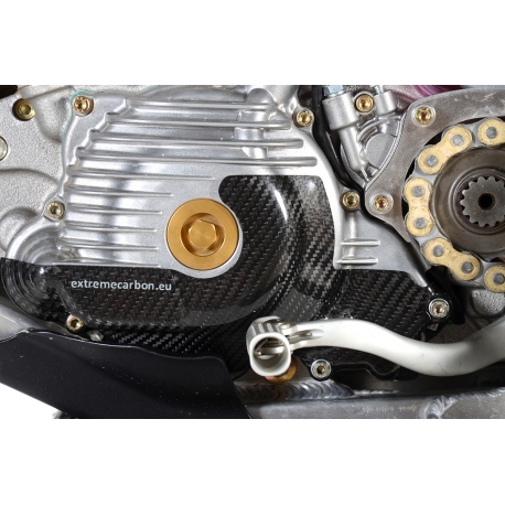 Couvre carter allumage Carbone 250/300 21 19-21