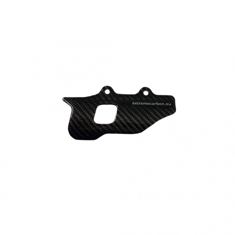 Protection de maitre cylindre AR Carbone TM 05-21