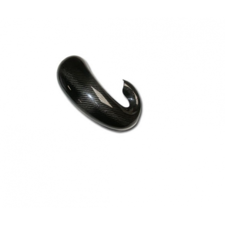 Protection de pot Carbone TM 125/144 2015 2019